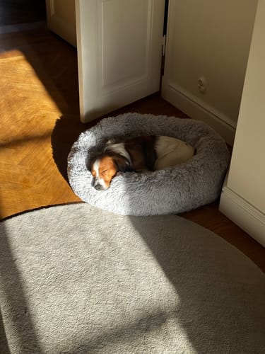 Customer photo review of CalmBed - Motverkar stress & hjälper mot ångest