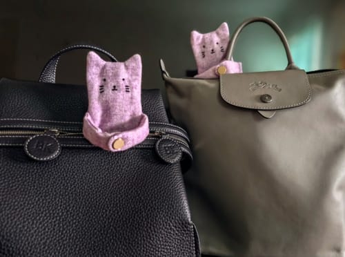 Customer photo review of Hugging Cat Bag Charm & Earphone Case