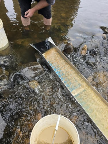 Customer photo review of 1088 Gold Rat sluice - with Mini cell Dream mat