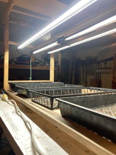 Customer photo review of Sunblaster LED High Output 6400K watt strip lights
