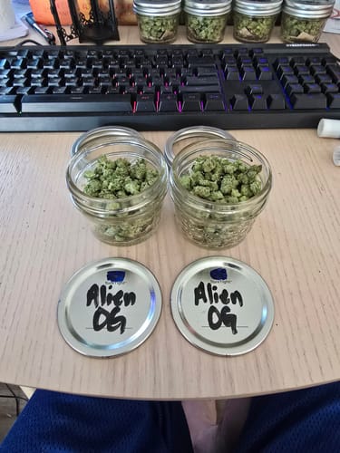Customer photo review of Alien OG - 14 Grams Littles - Indica