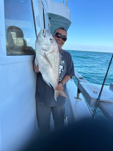 Customer photo review of 80 lb - Pre-tied dropper loop rigs