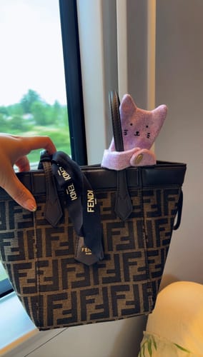 Customer photo review of Hugging Cat Bag Charm & Earphone Case
