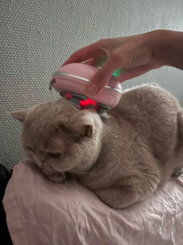 Customer photo review of The Original Electric Scalp Activator