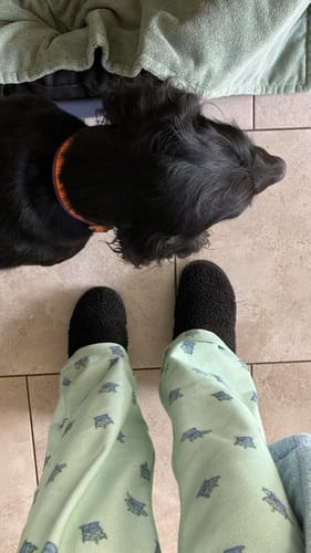 Customer photo review of Disney© Collar - Woody