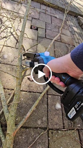 Customer video review of NovarGarden® Mini Kettingzaag NG2 - Incl. Koffer & 2 Accu’s (2.0Ah)