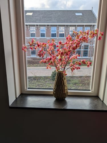 Dorien C. review of Zijden Bloesem - Fuchsia roze (3 stengels) image 1 out of 1