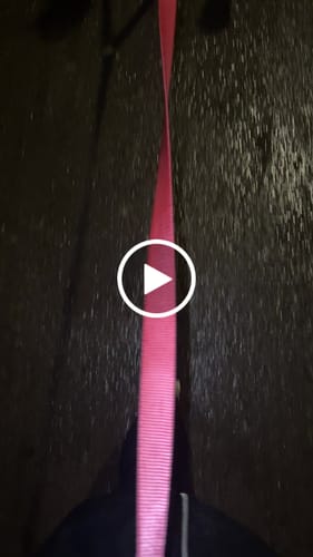 Customer video review of Tesla City Leash (Hands-Free)