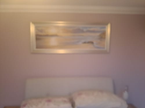 Customer photo review of Walking The Dog At Dusk By Duncan Palmar Free, Next Day Delivery**