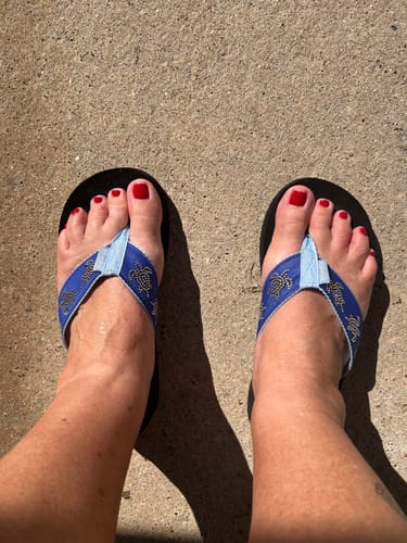 Customer photo review of Ocean Legends Turtles