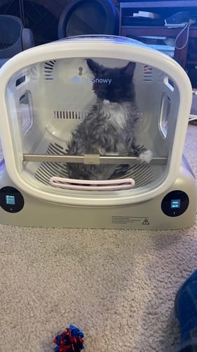Customer photo review of Pet Dryer Box