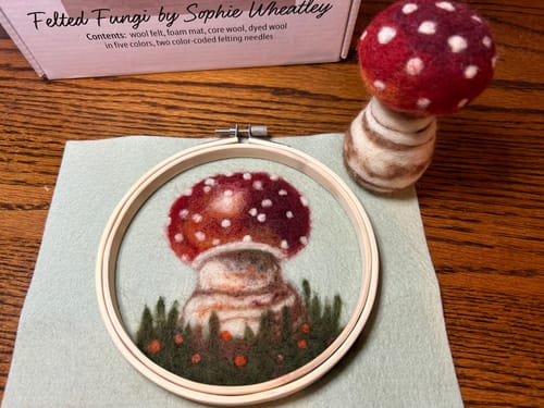 Customer photo review of Sophie Wheatley's Felted Fungi Supplies Box