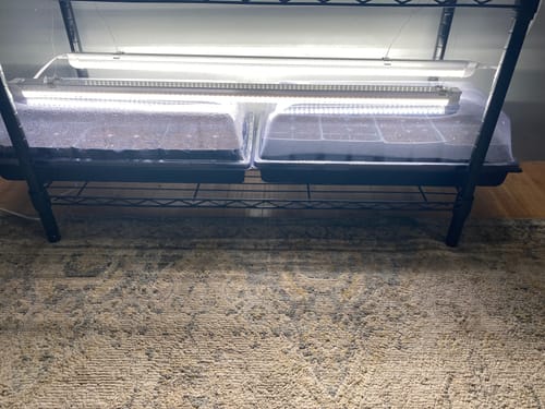 Customer photo review of Hydrofarm Vented Humidity Dome 2"