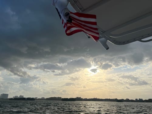 Customer photo review of American Flag