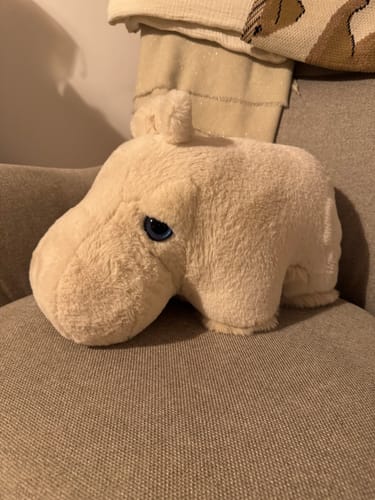 Customer photo review of The Hippo