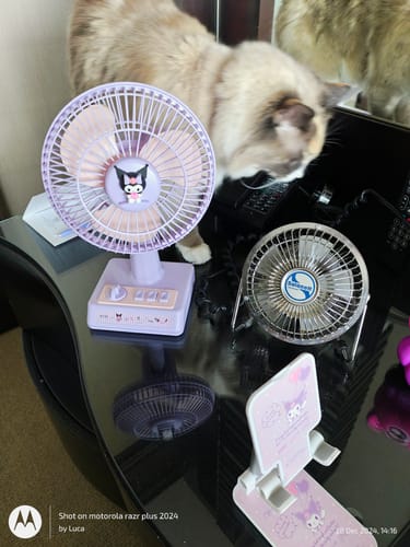 Customer photo review of Kuromi Hello Kitty Cinnamoroll Fan