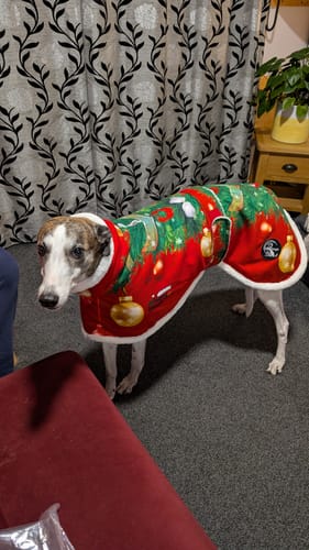 Customer photo review of Sighthound Christmas Tree Warm Fleece Coat