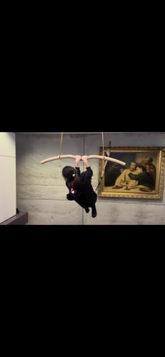 undefined review of Snake Pull-Up Bar Portable – Die Klimmzugstange für unterwegs image 1 out of 1