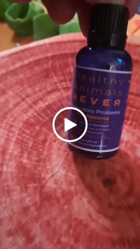 Customer video review of Respiratory Infection Remedy for Rabbits