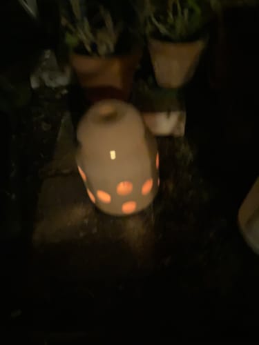 undefined review of 6er-Set ökologische Kerzen aus REWAX-Biomasse für Frostwächter "FireFly" image 1 out of 3