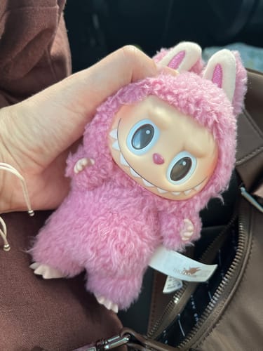 Customer photo review of POP MART The Monsters Exciting Macaron Series Plush Pendant Blind Box