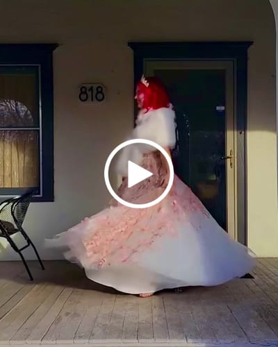 Customer video review of Cap Sleeves Illusion Boat Neck Butterfly Dress