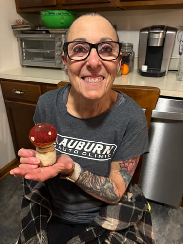 Customer photo review of Sophie Wheatley's Felted Fungi Supplies Box