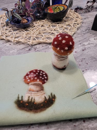 Customer photo review of Sophie Wheatley's Felted Fungi Supplies Box