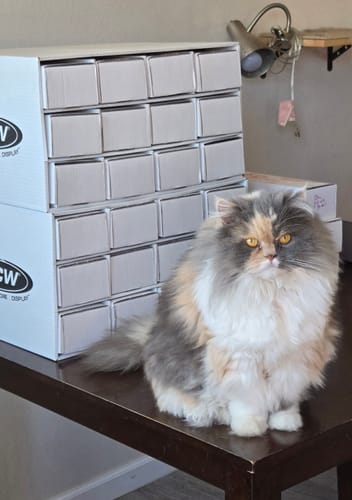 Customer photo review of Innistrad Remastered Bundle