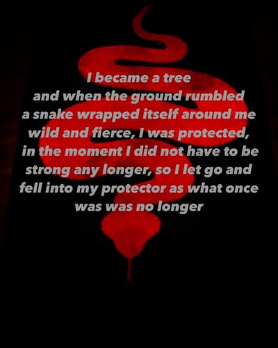 Customer photo review of Bobinsana Tincture