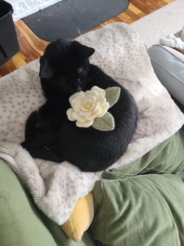 Customer photo review of White Rose Mini Needle Felting Kit