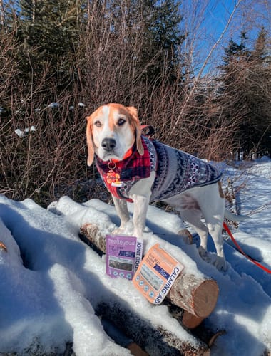 Customer photo review of Beef Joint Booster