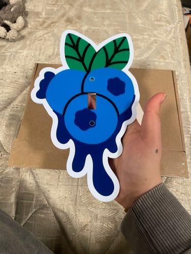 Customer photo review of The Blueberry Light Switch Cover