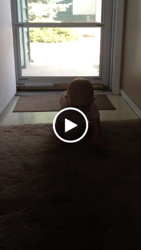 Customer video review of 6 Inch Standard Bully Stick