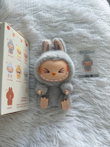 Customer photo review of POP MART The Monsters Have a Seat Series Plush Pendant Blind Box