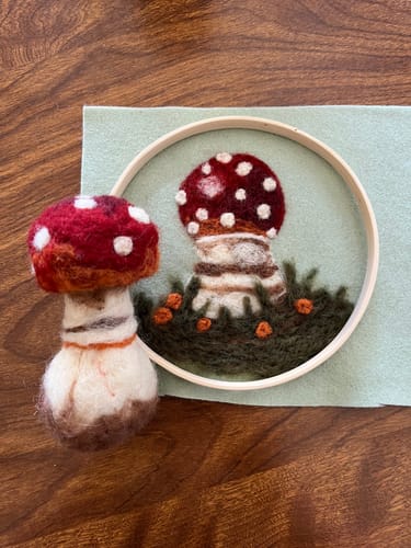 Customer photo review of Sophie Wheatley's Felted Fungi Supplies Box