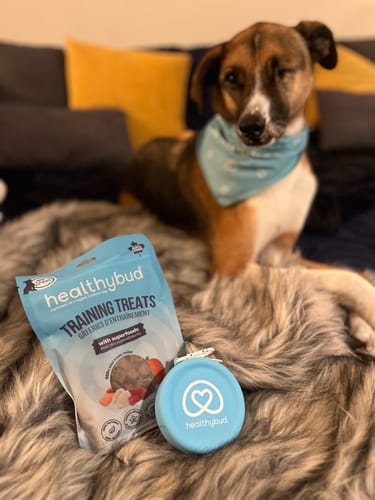 Customer photo review of Beef Mini Training Treats