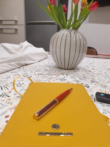 Customer photo review of Gratitude - Deluxe Life Journal