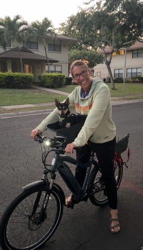 Customer photo review of Kvisp Dog Bike Carrier