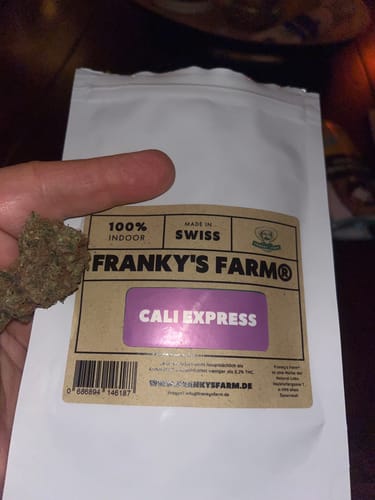 Customer photo review of Cali Express (Premium) - <15% CBD - 1# Cup Winner