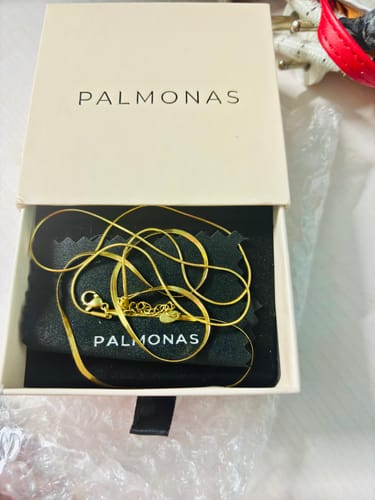 Customer photo review of Plain Chain Two Layer Necklace