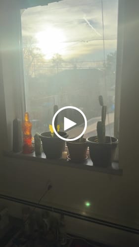 Customer video review of Houseplant Pest Spray