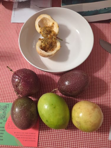 Customer photo review of Passion Fruit (Maracuya)***Pre Order***