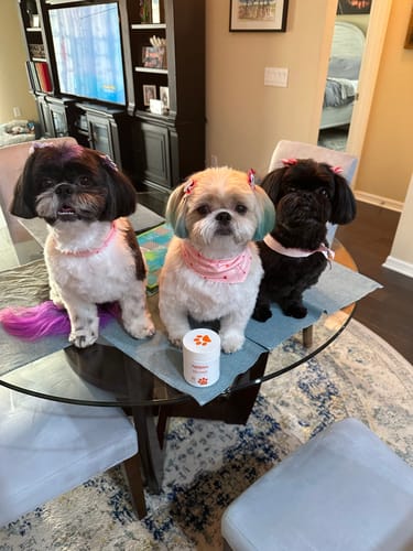 Customer photo review of Chill Chews
