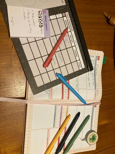 Customer photo review of Health & Wellness - Deluxe Life Journal