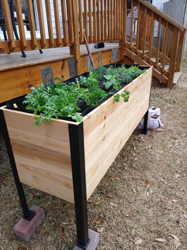 Customer photo review of 18" x 60" Raised Garden Bed