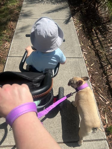 Customer photo review of Walk Essentials