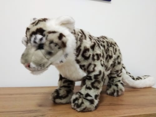 Customer photo review of Snow Leopard Cat Soft Stuffed Plush Toy