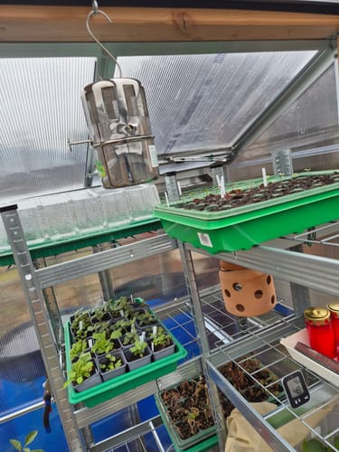 Customer photo review of Paraffin Gewächshausheizung "Warmax Mini" Edelstahl 70 W