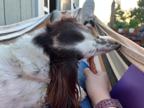 Customer photo review of Super Collagen Sticks - 6 Inch